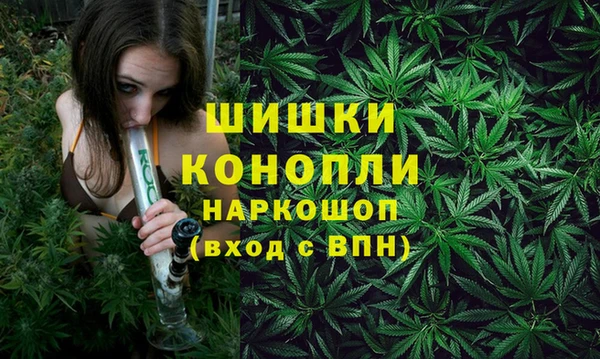 СК Каменск-Шахтинский