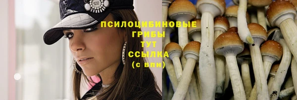 спиды Касимов