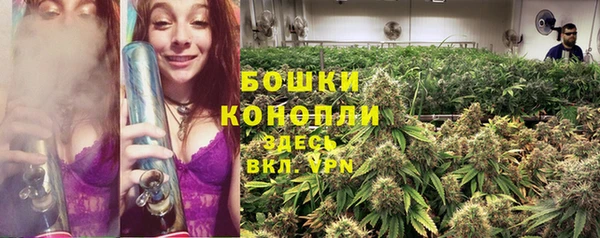 гашик Кодинск