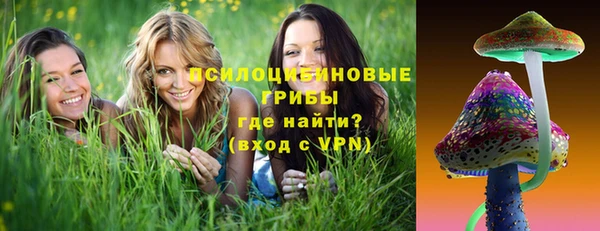 спиды Касимов