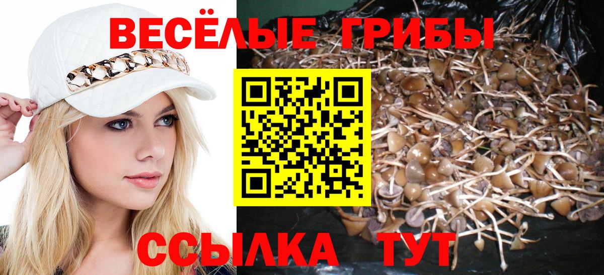 Галлюциногенные грибы MAGIC MUSHROOMS  Вход с VPN  Галлюциногенные грибы Cubensis  Бирск 
