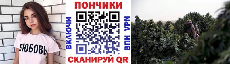 ссылка на мегу ссылки  Бирск  Шишки марихуана THC 21% 